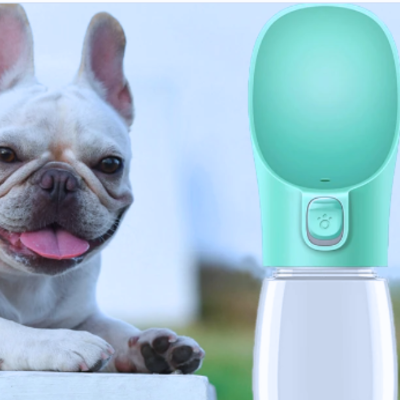 Gourde-pour-chien-innovant