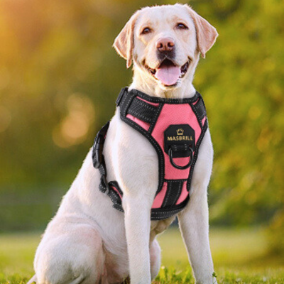 Harnais chien anti traction  Stylish™ - Confort Supérieur – Puppy