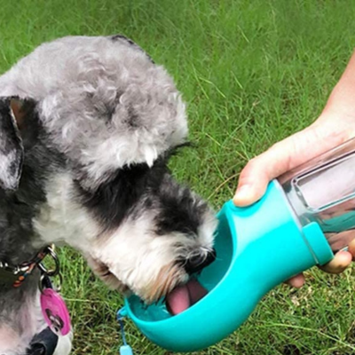 gourde-pour-chien-bleu